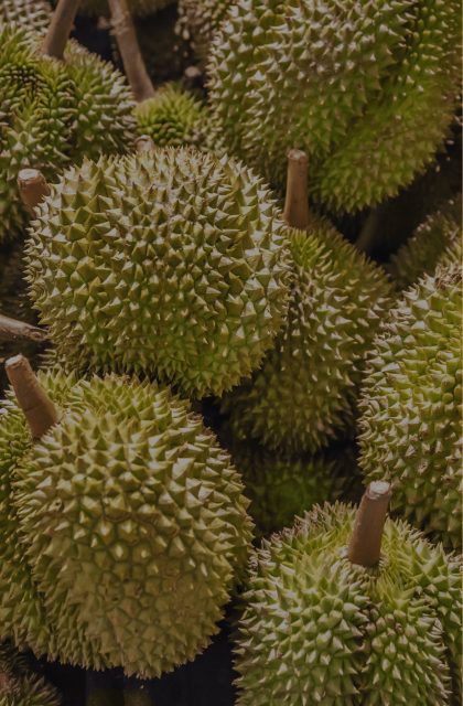 Case Study_ Automating Durian Grading with Tapway Case Study_ Automating Durian Grading with Tapway