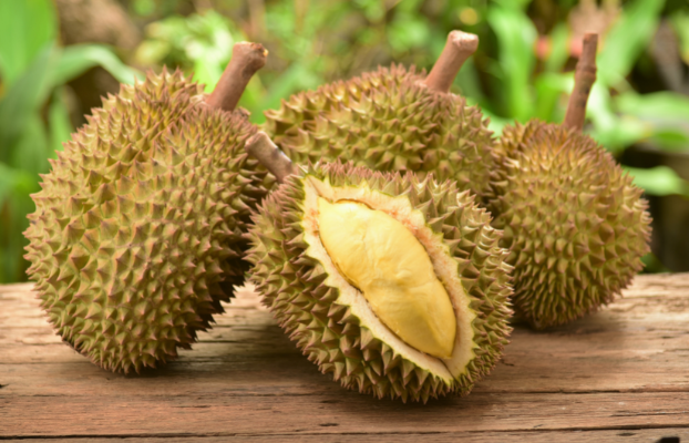 Automating Durian Grading