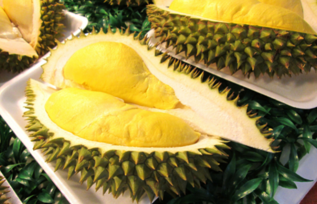 Automating Durian Grading