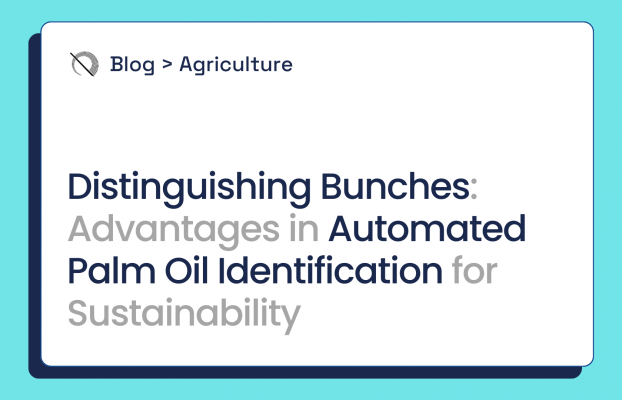Distinguishing Bunches: Advantages in Automated Palm Oil Identification for Sustainability