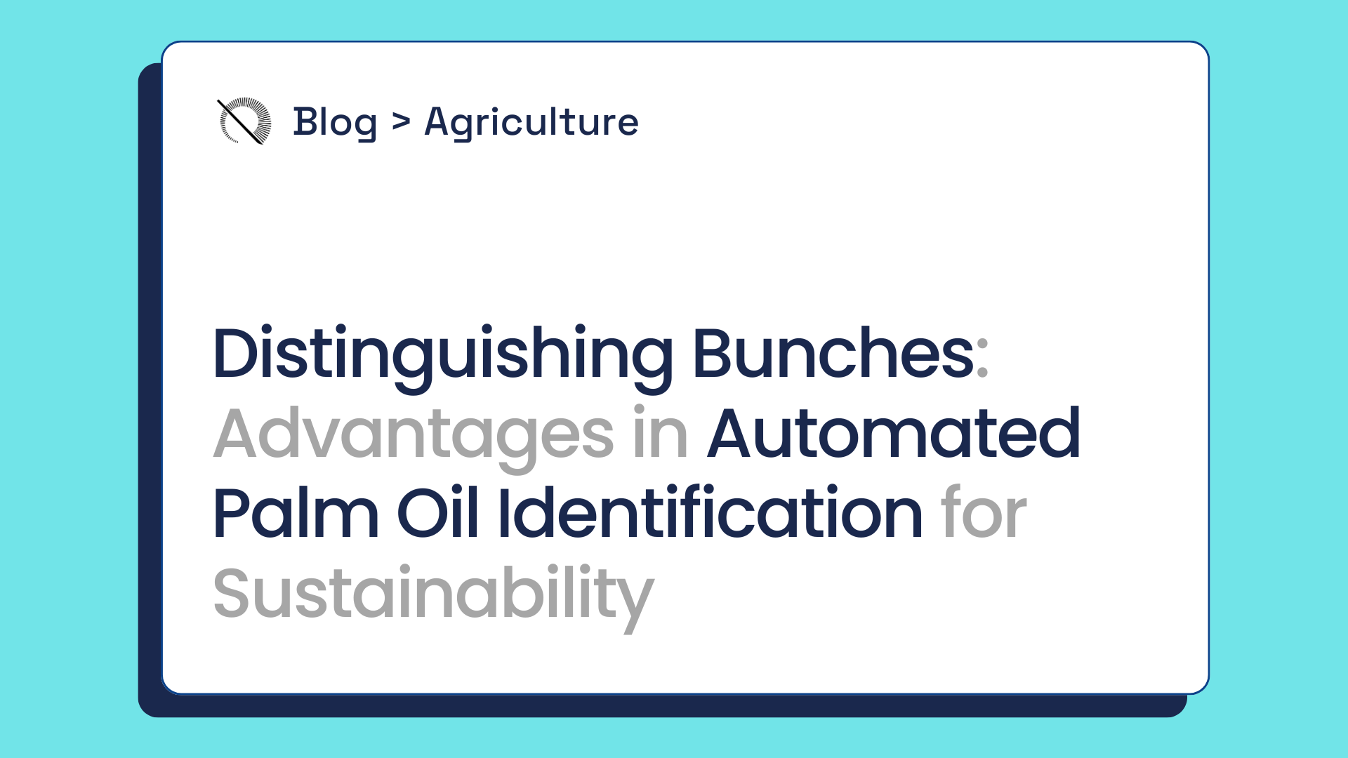 Distinguishing Bunches: Advantages in Automated Palm Oil Identification for Sustainability