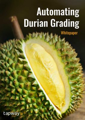 Automating Durian Grading