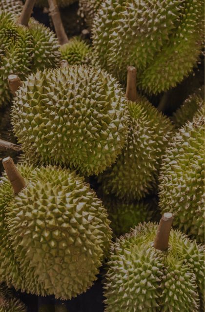 Case Study_ Automating Durian Grading with Tapway